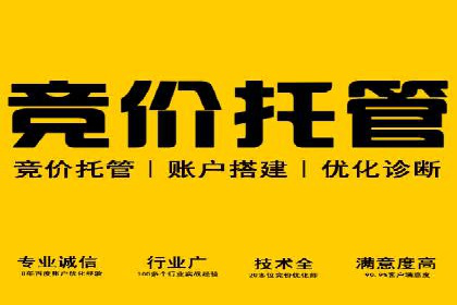 如何在竞争激烈的市场中脱颖而出——SEM代运营公司案例分析